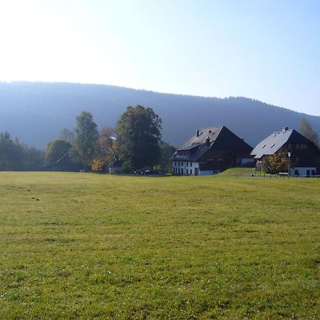 Hermeshof Und Biohaus Titisee-Neustadt Exteriör bild