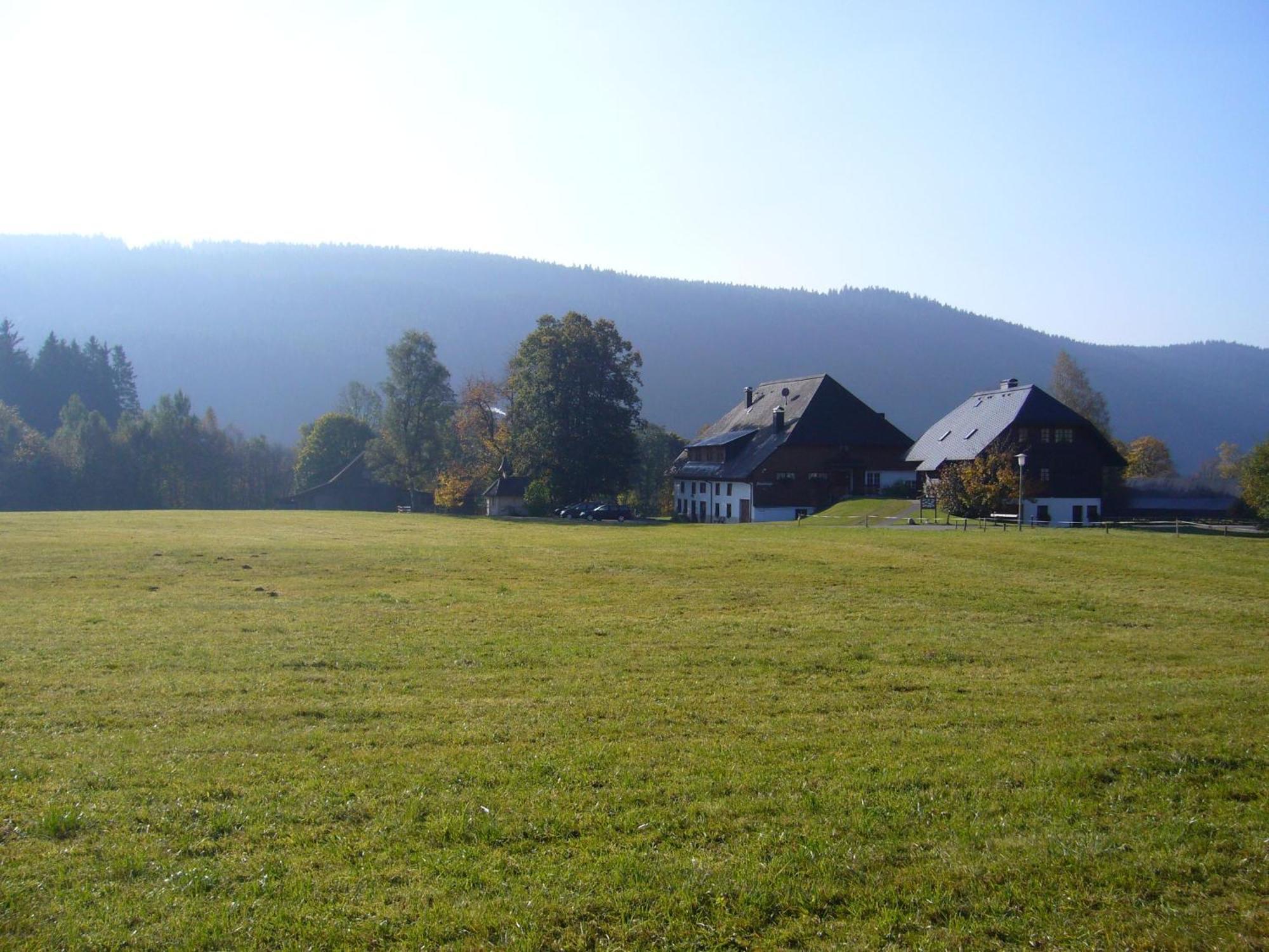Hermeshof Und Biohaus Titisee-Neustadt Exteriör bild