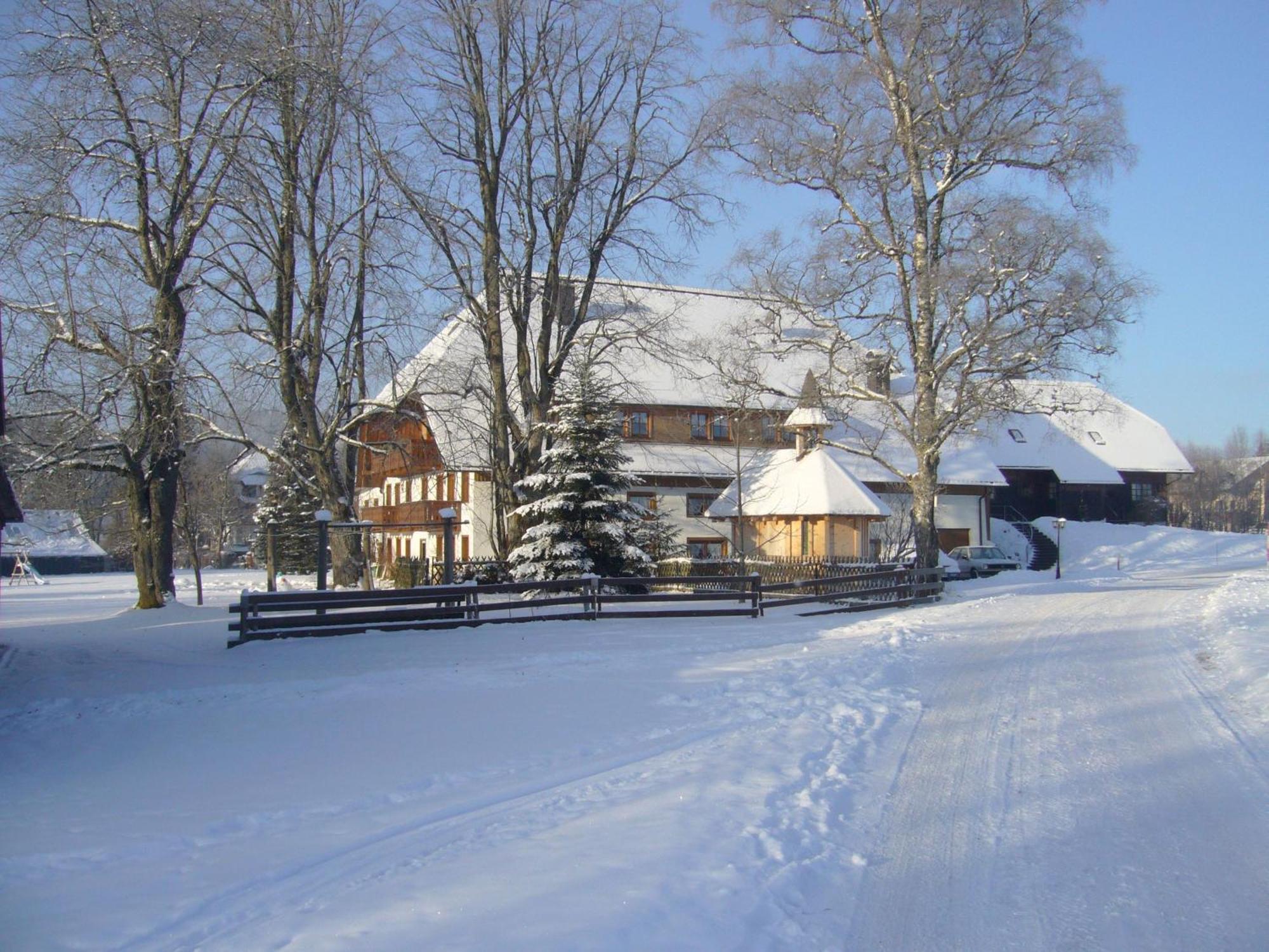 Hermeshof Und Biohaus Titisee-Neustadt Exteriör bild