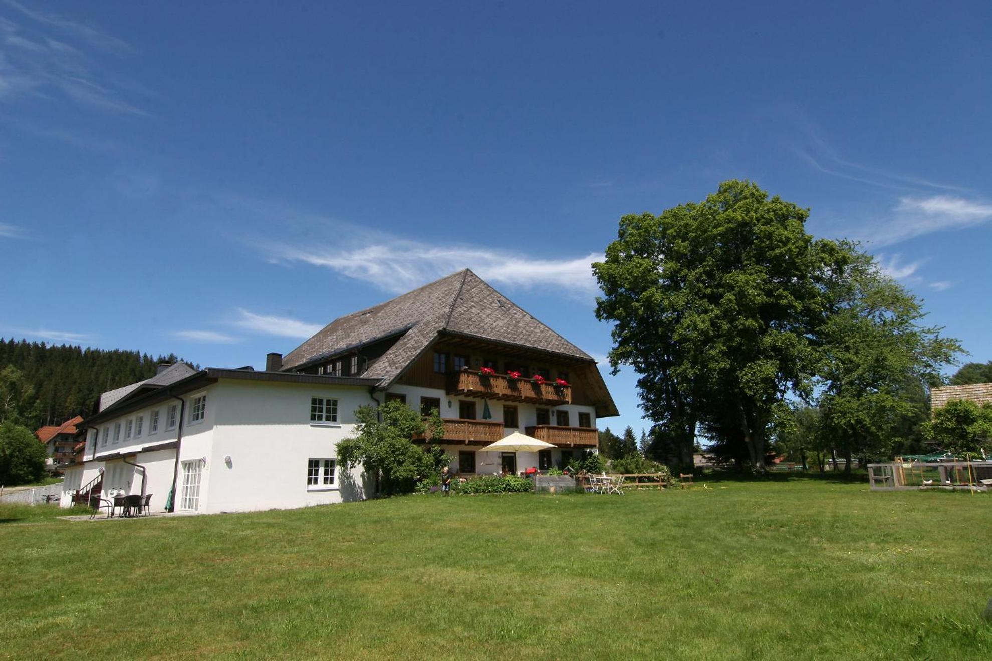 Hermeshof Und Biohaus Titisee-Neustadt Exteriör bild